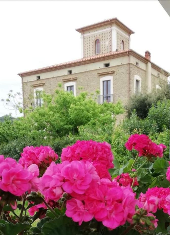 Agriturismo CapoCasale photo 1