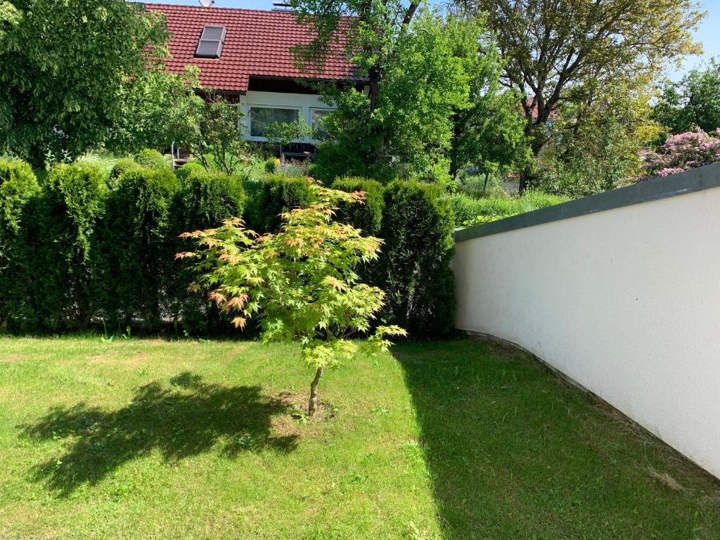 Ferienwohnung Simon photo 3