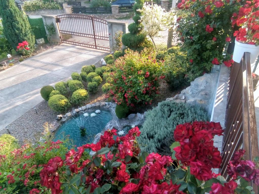 Apartment Vila MM Srce