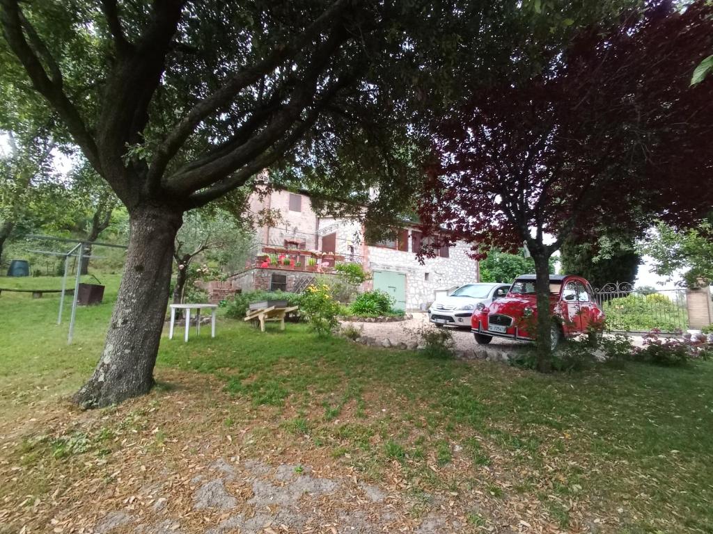 Tra grilli e cicale photo 3
