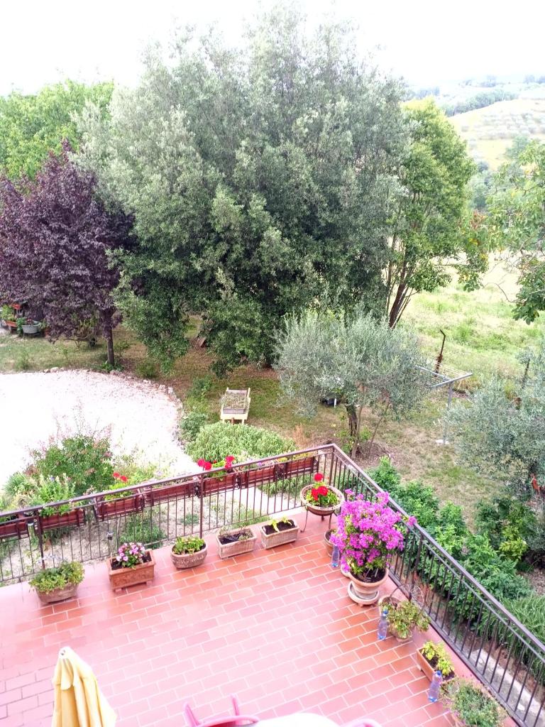 Tra grilli e cicale photo 4