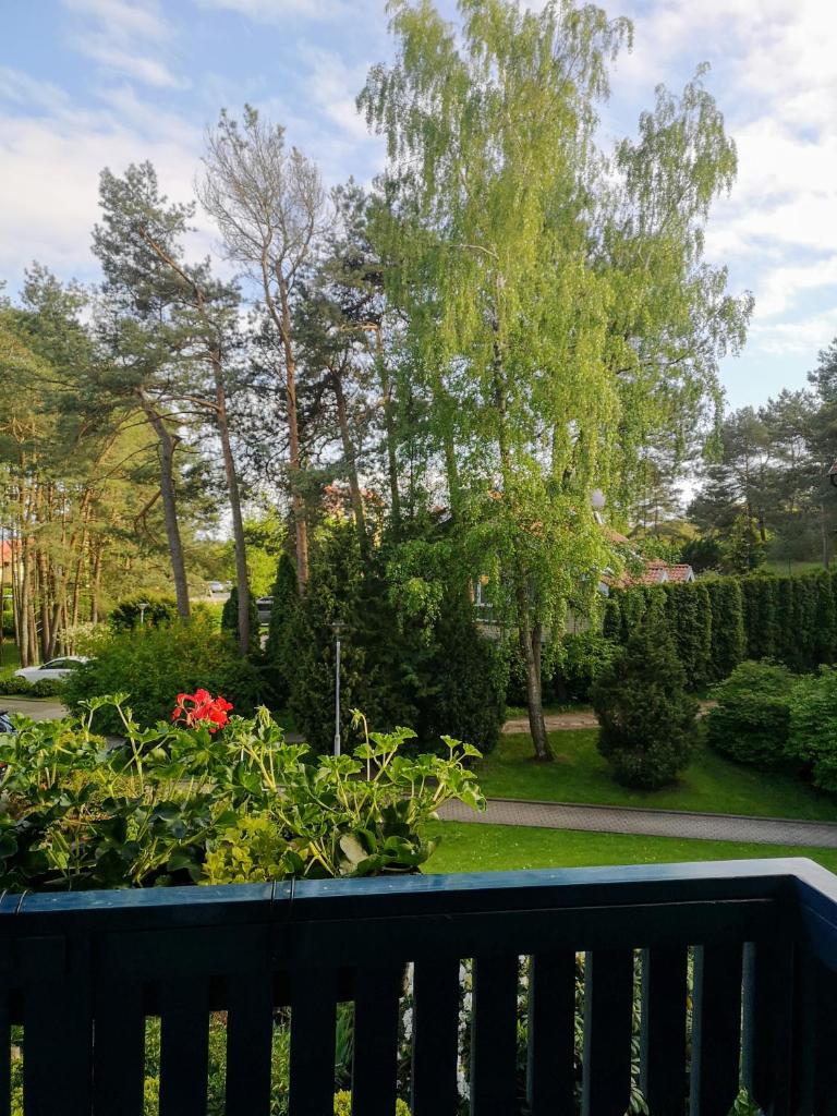 Marių studija photo 2