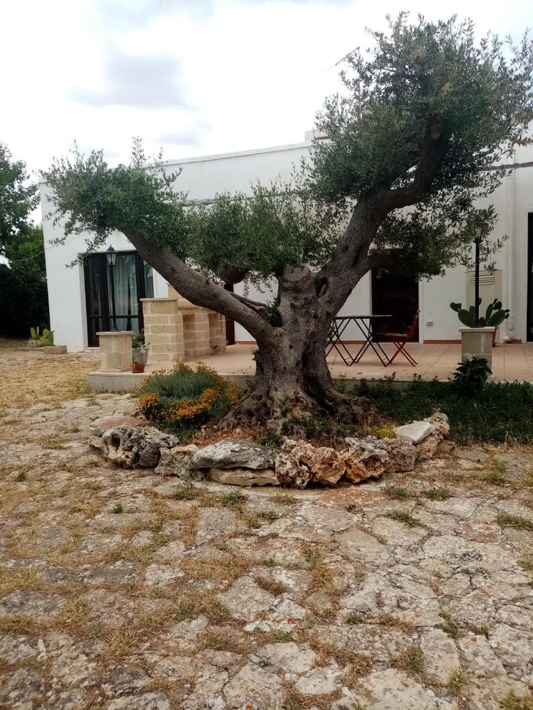 masseria chianca " Le Gravine"