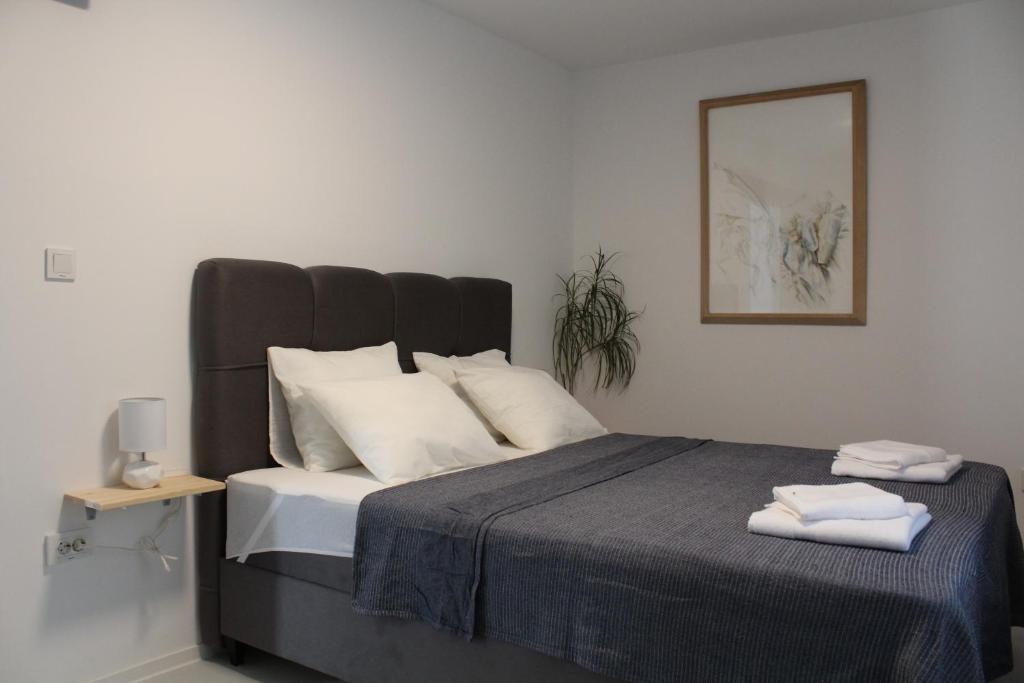 Apartman Boki photo 2
