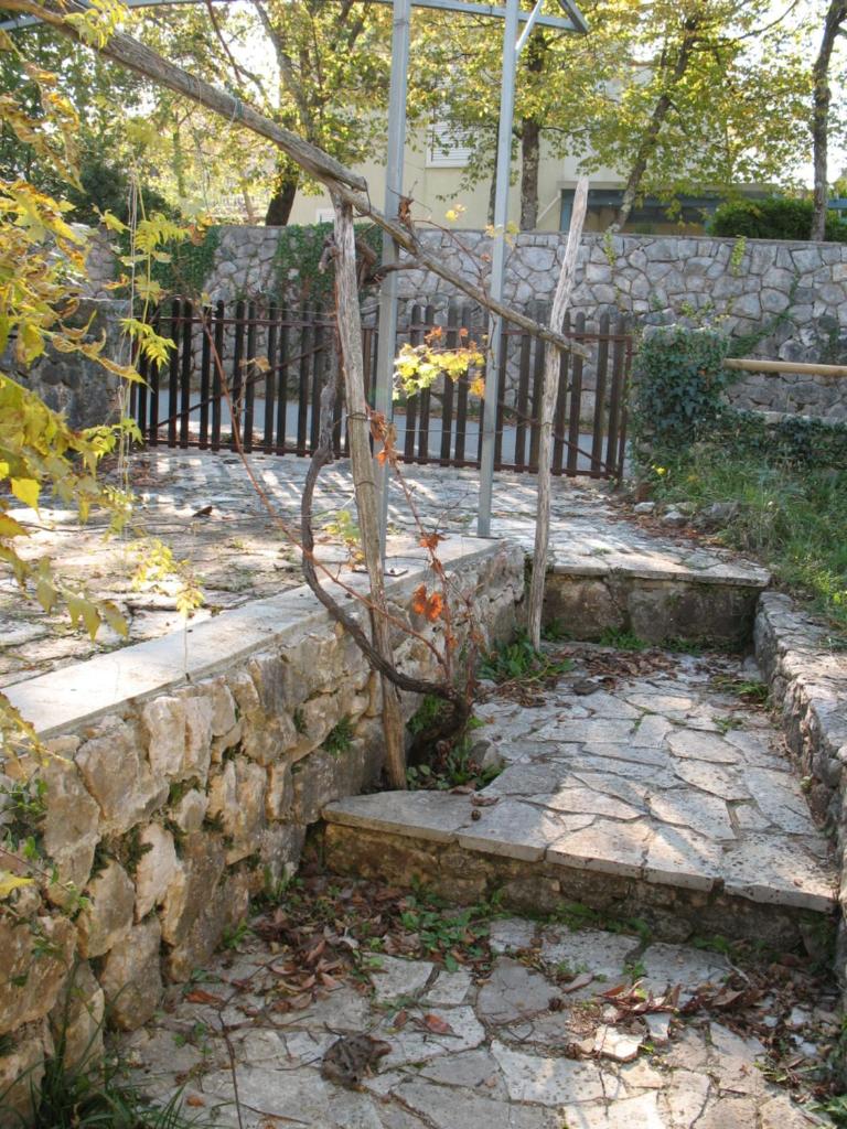 Villa Maslina photo 1