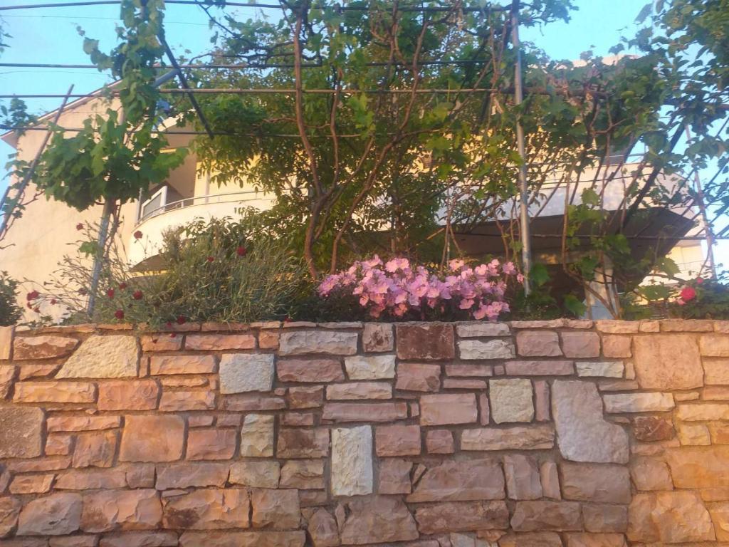 Villa Selmani photo 3