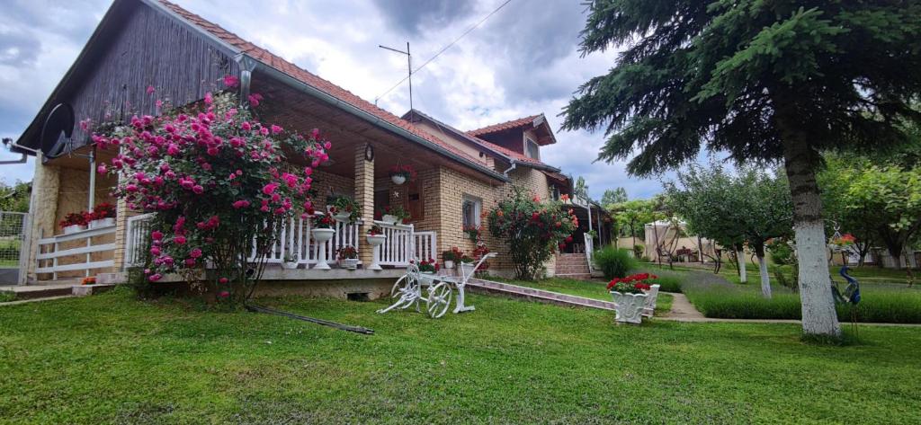 Oaza Čemerlić photo 3