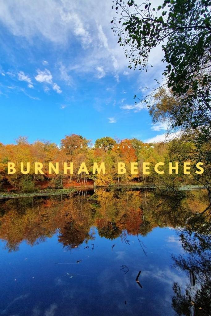 NEW - Stylish 2 bed, Farnham Common Room Type - Two-Bedroom Apartment