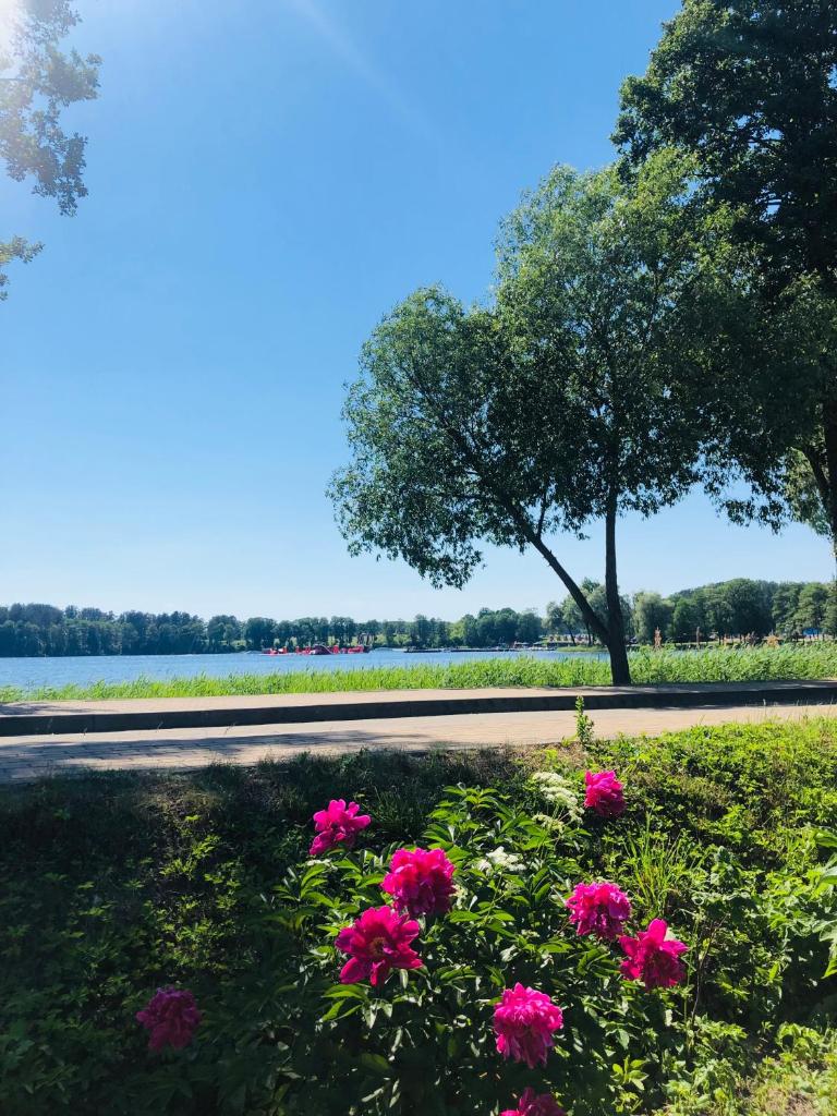Ežerų glėby photo 2