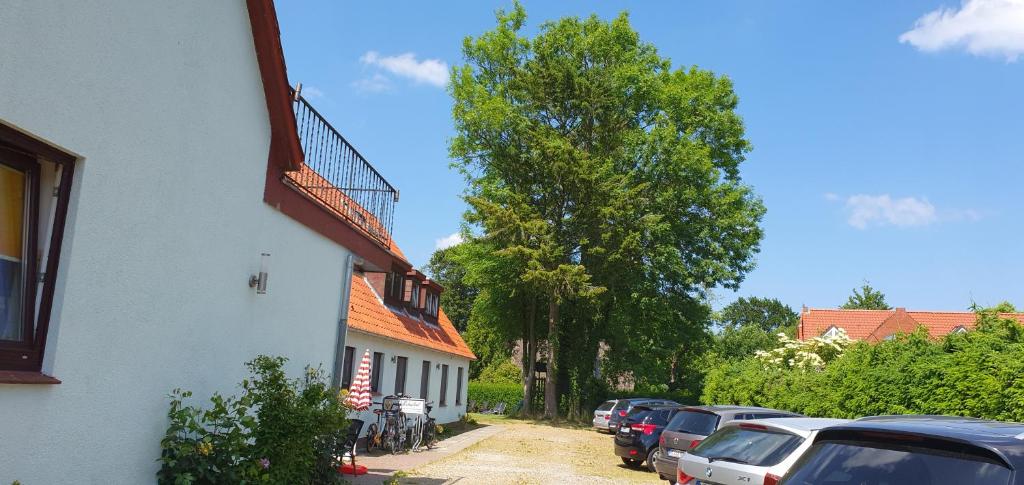 Hotel Pension Haus Irene photo 1