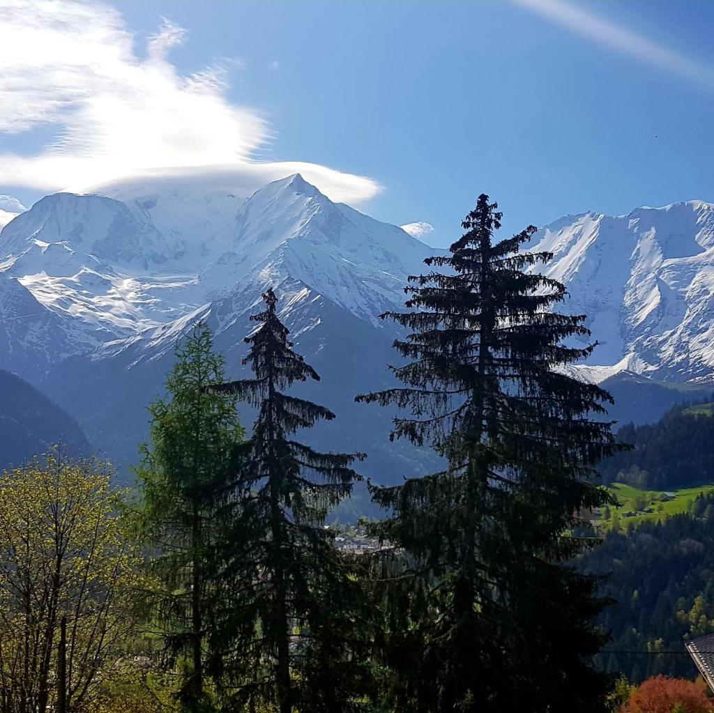 Appartement Saint Gervais les Bains vue imprenable Mont Blanc photo 4