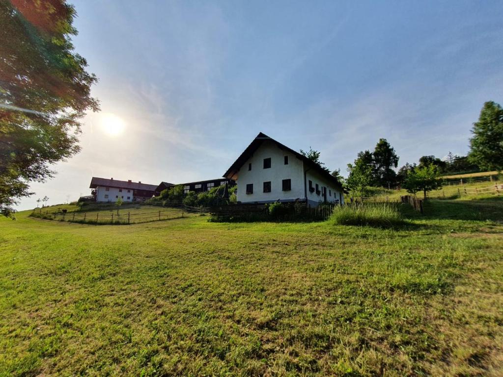 Ferienhaus am Dachsberg, Bayerischer Wald photo 4