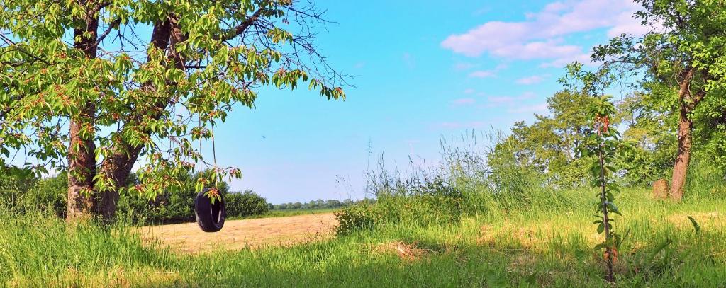Zielony Zakątek - agroturystyka blisko morza photo 1