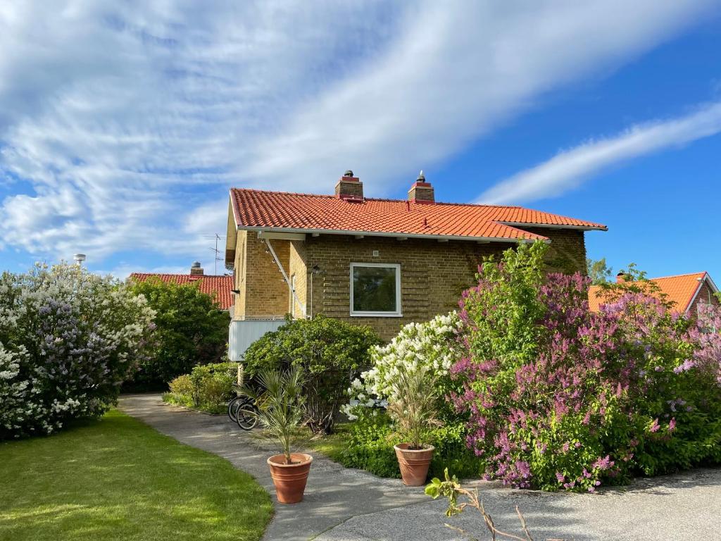 HEMMET Simrishamns vandrarhem och B&B photo 1