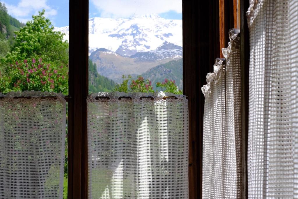 Hotel Villa Tedaldi photo 4