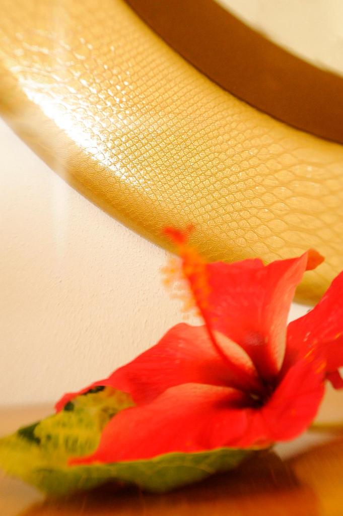 Двухместный (Двухместный номер Делюкс с 1 кроватью), Etoile Labrine