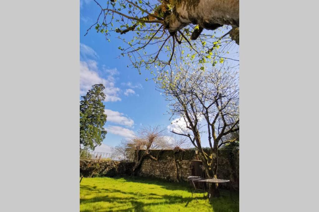 AMALOUYSE Studio de charme au cœur des châteaux de Loire photo 2