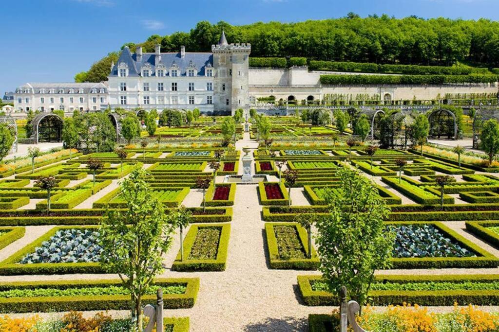 AMALOUYSE Studio de charme au cœur des châteaux de Loire photo 4