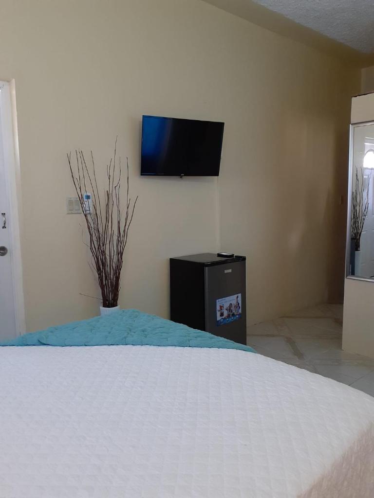 Clarke's Luxurious Private Suite photo 2