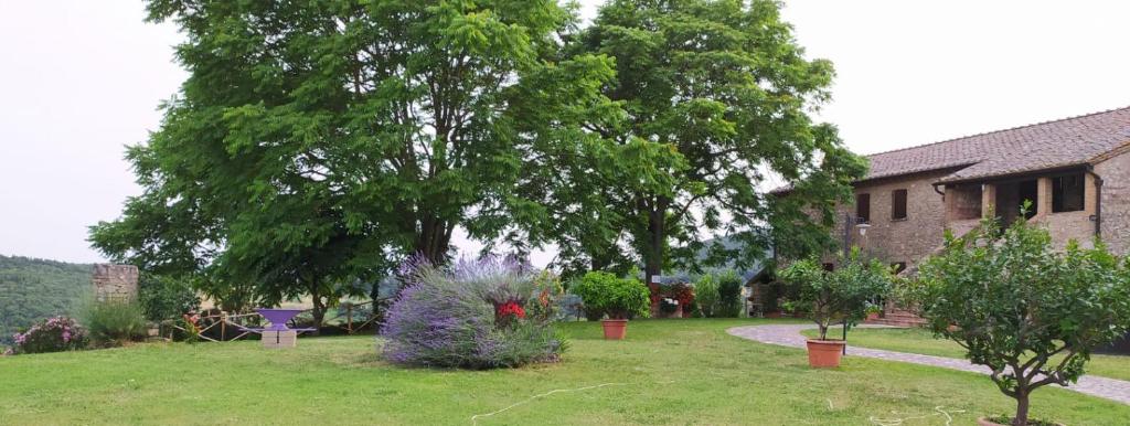 Agriturismo Podere Luchiano photo 4