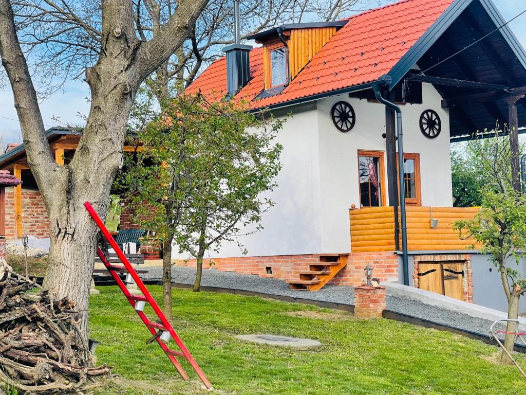 Holiday home DEDINA HIŽICA photo 2