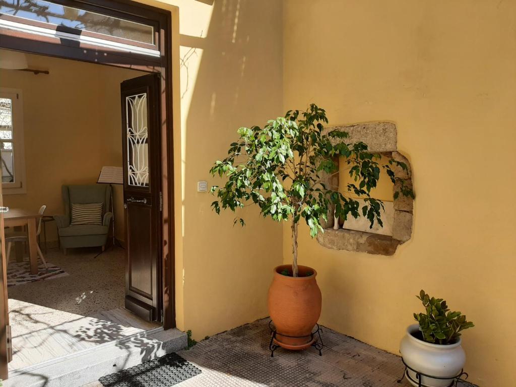 Alexandros Traditional House photo 4