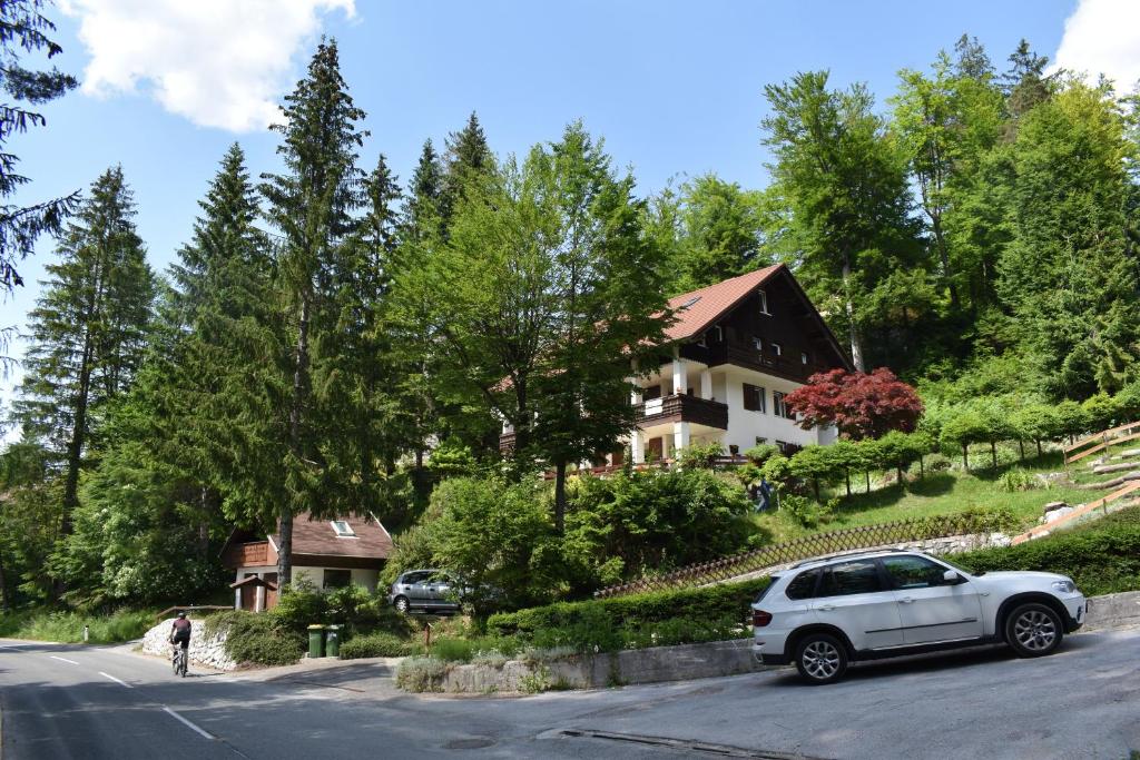 Hiša ob jezeru - House by the Lake photo 3