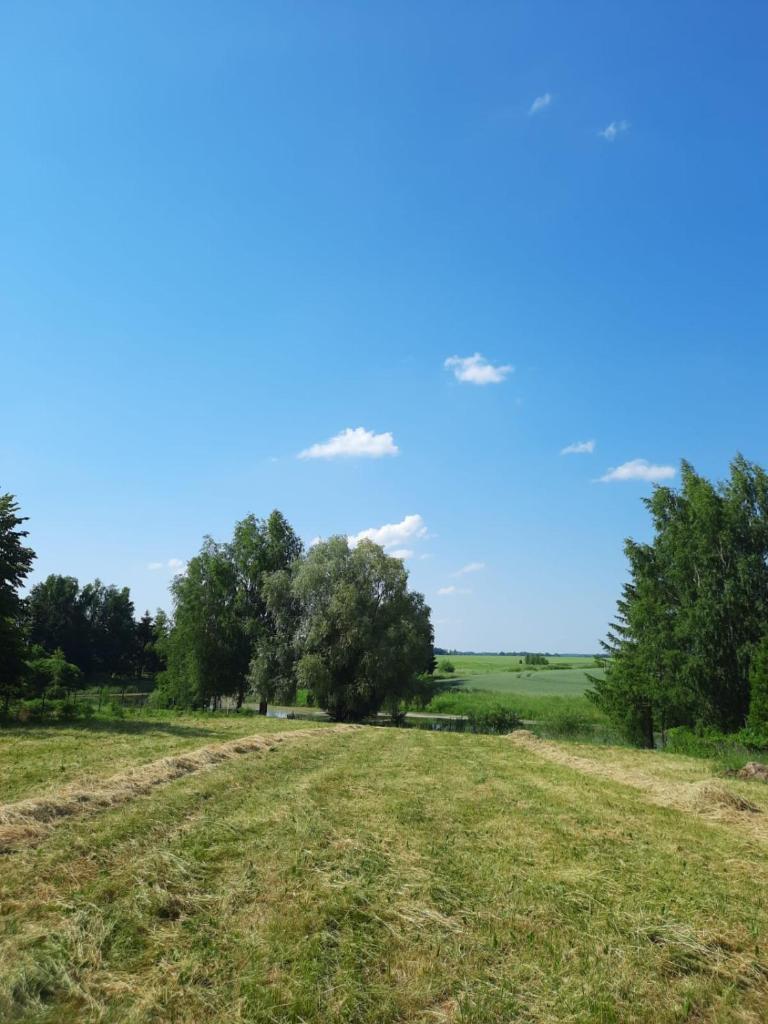 Sodyba Miegėnuose photo 3