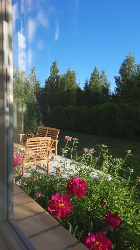 Stadnina Koni Nad Wigrami photo 4