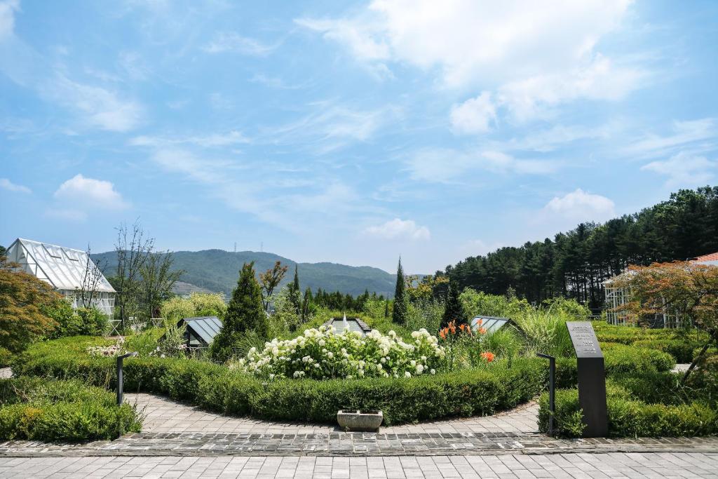 Eden Paradise Hotel photo 3