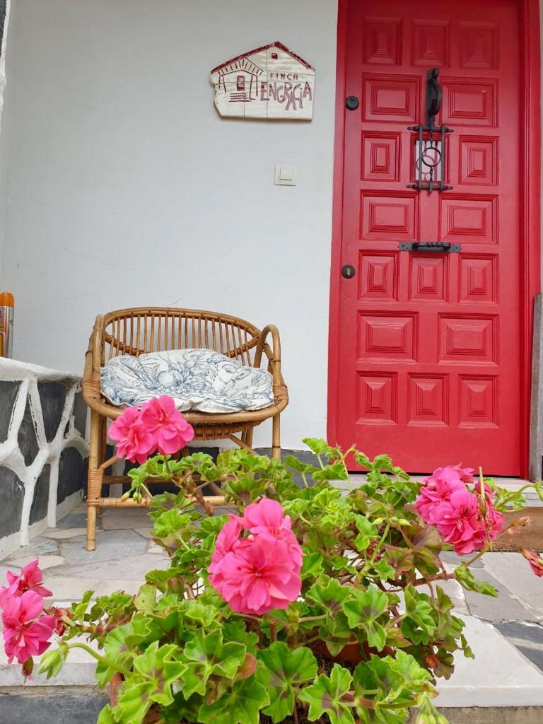 Finca Engracia photo 3