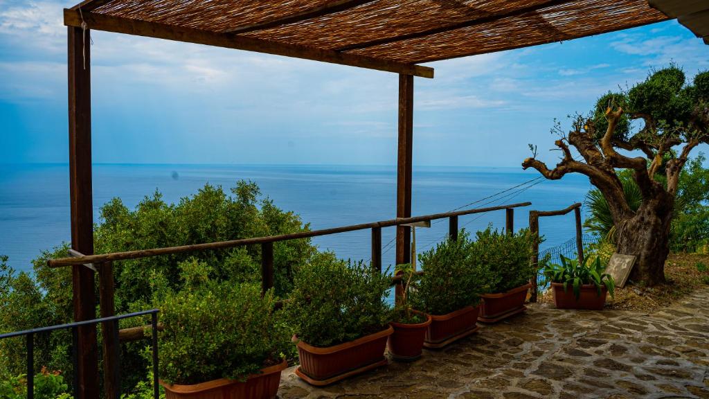 Castellabate Apartments Casa Cardone photo 3