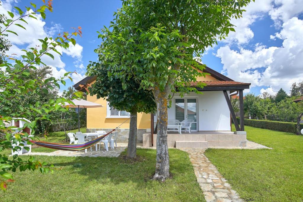 Villa Magnolia with pool photo 4