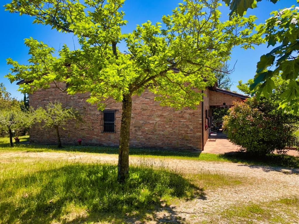 Villa Le Brugnolete - Appartamento Est photo 1