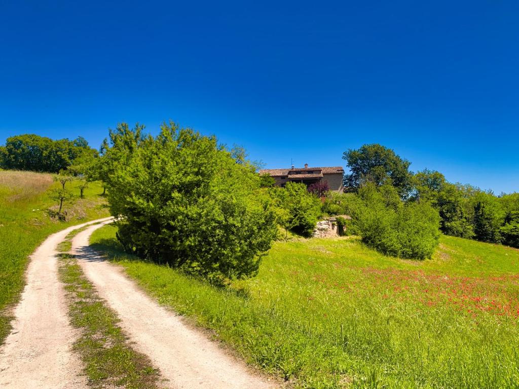 Villa Le Brugnolete - Appartamento Est photo 4
