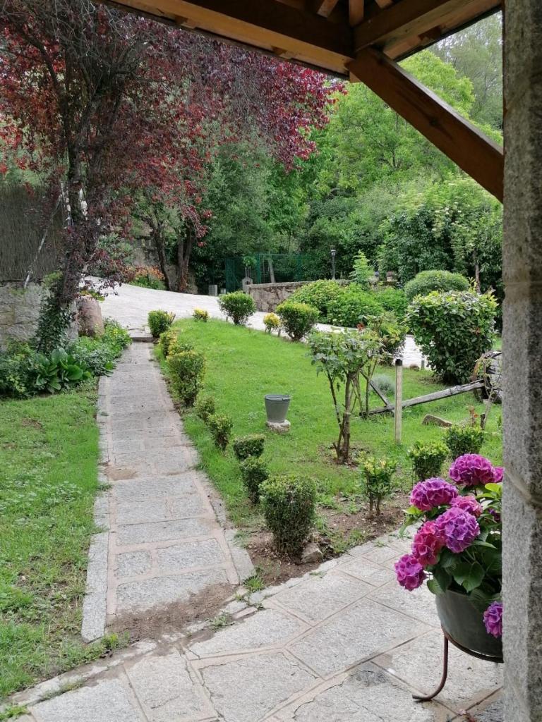 La casona de Mimi photo 3