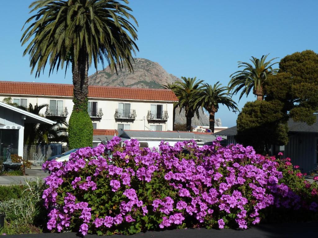 Sundown Inn of Morro Bay photo 1