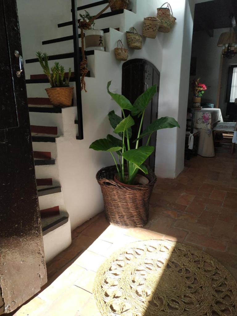 Casa Museo Quintín photo 4