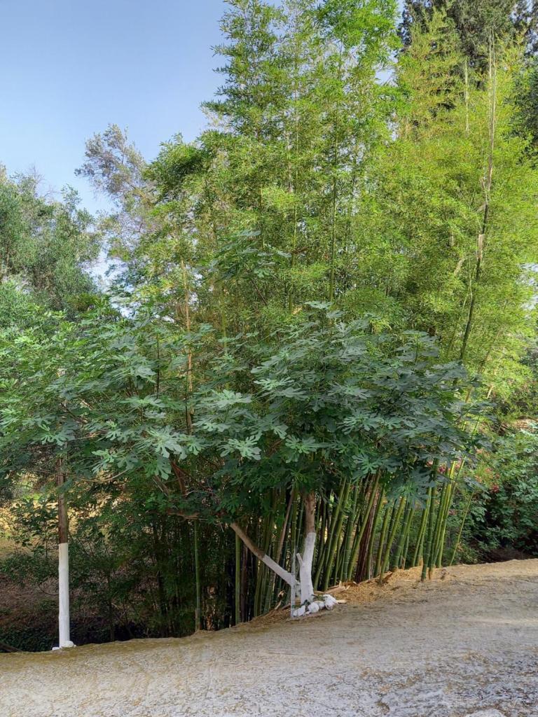 Agia Pelagia sea view Apartments 3 photo 2