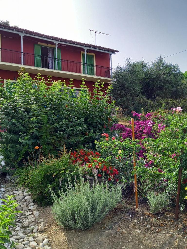 Agia Pelagia sea view Apartments 3 photo 1