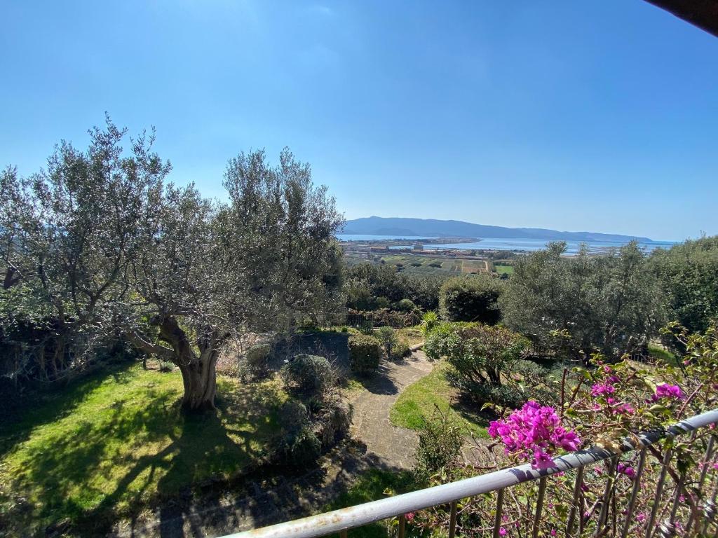 Casa ai Poggi dell'Argentario photo 4