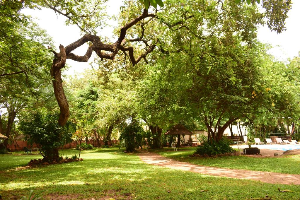 Shoestrings Backpackers Lodge Vic Falls photo 1