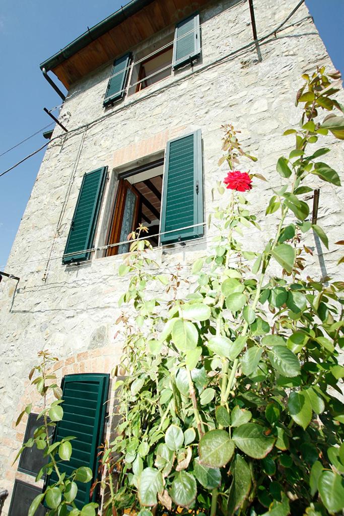 Tower (Terratetto) caratteristico in pietra