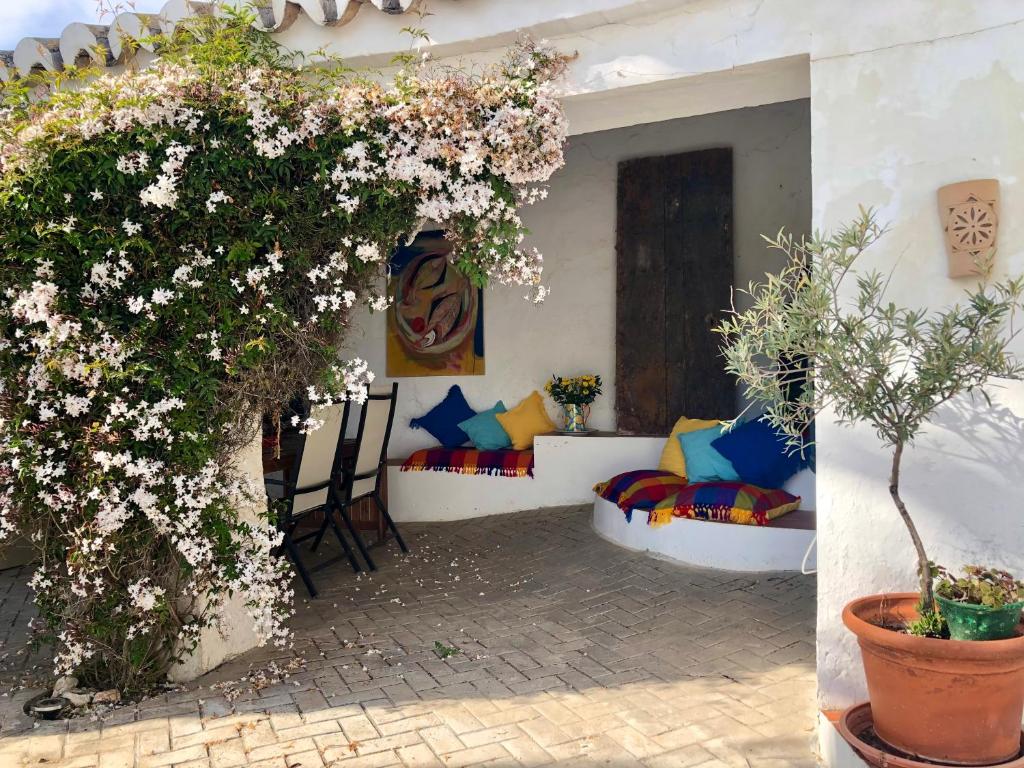 Almohalla51 photo 1