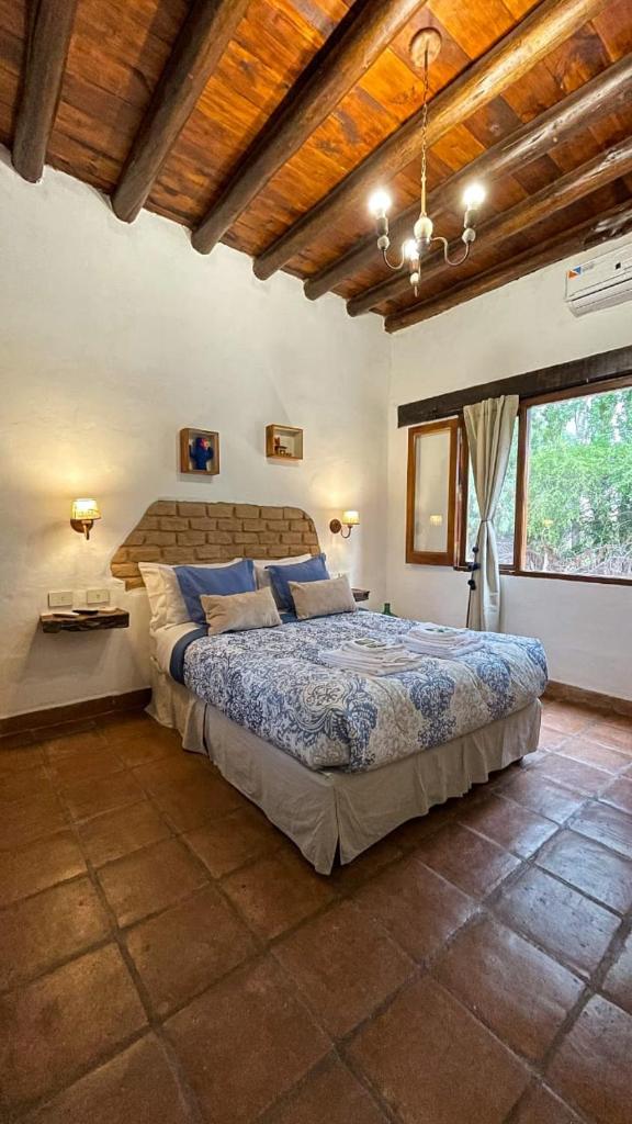 Pasillos del Viñedo photo 1