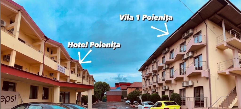 Vila Poienita photo 2
