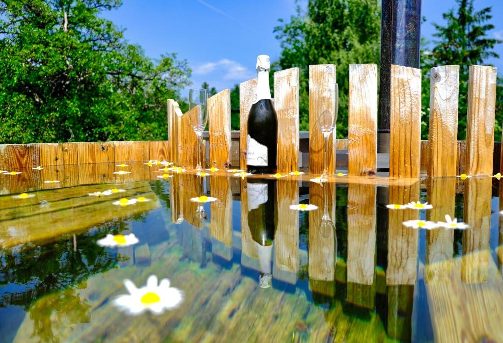 Glamping Brodej photo 3