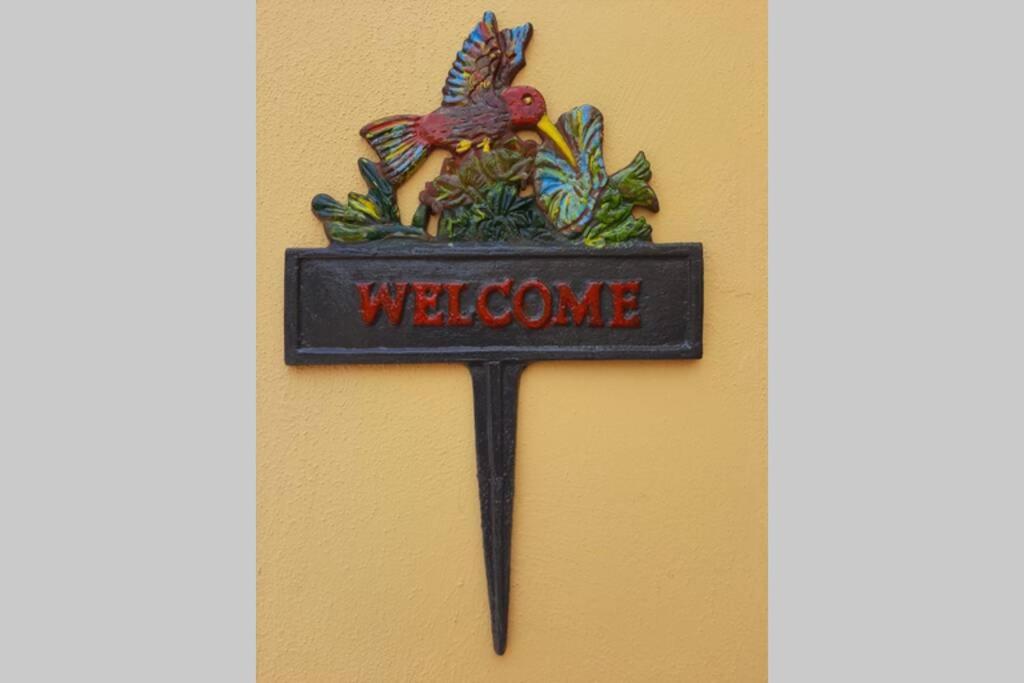 il colibri' photo 3