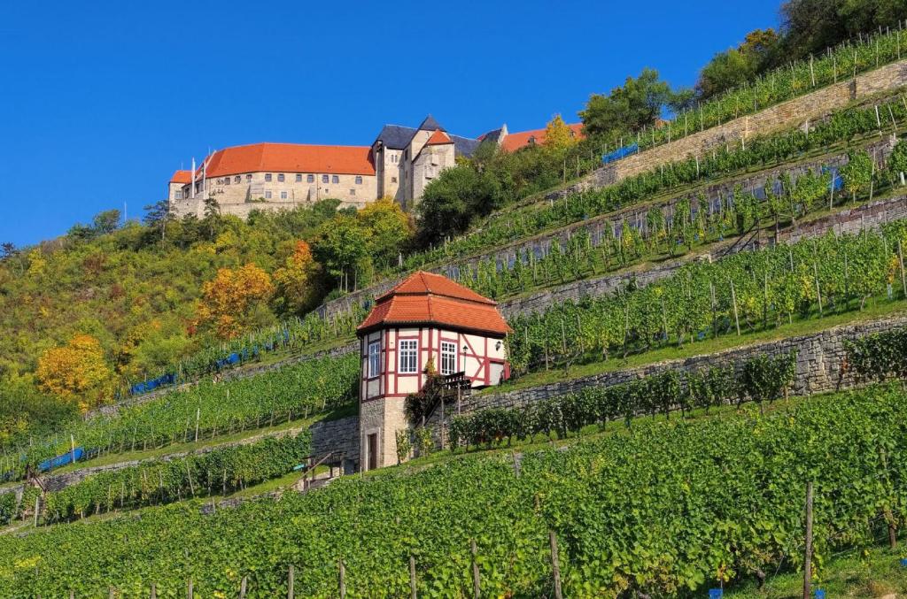 Ferienhaus Zur alten Korbmacherei photo 4