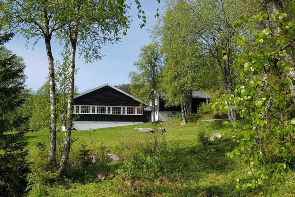 Hjartdal Fjellstoge & Storhytte photo 4